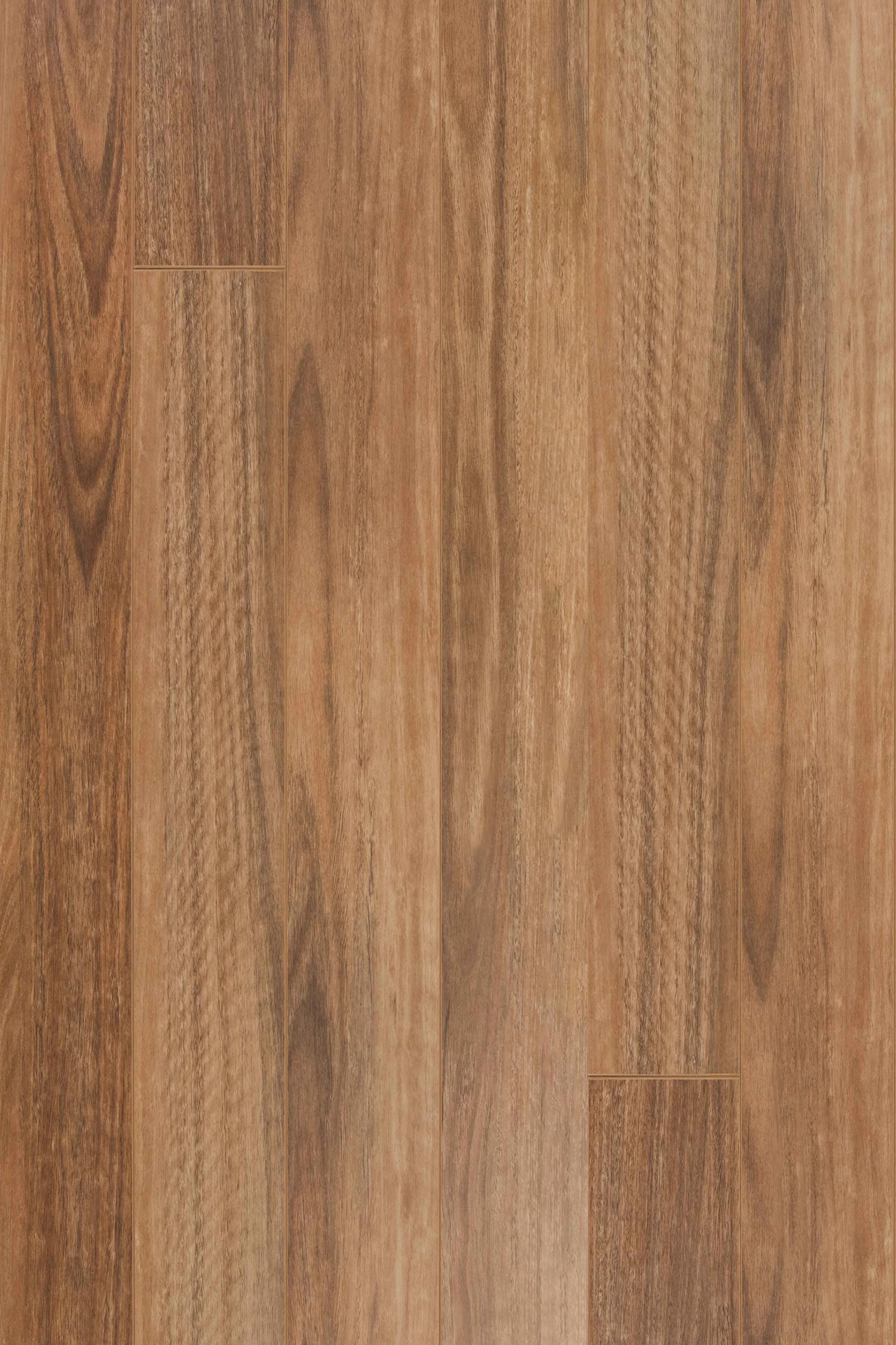 Queensland Spotted Gum