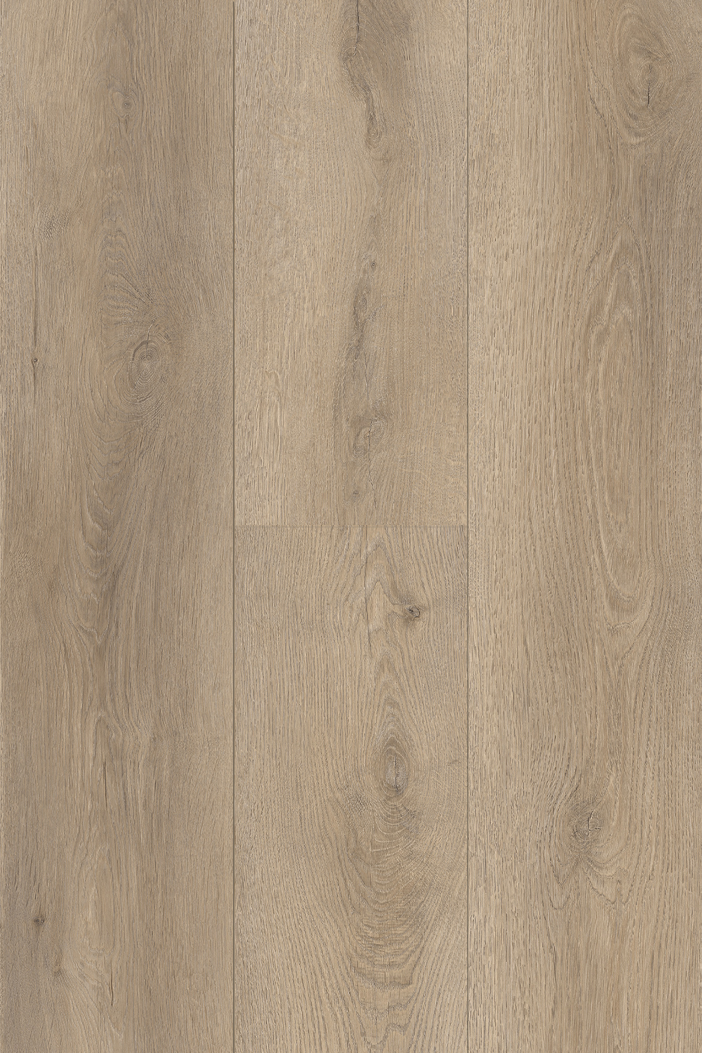 Glacial Grey laminate from Pantora by Topdeck Flooring
