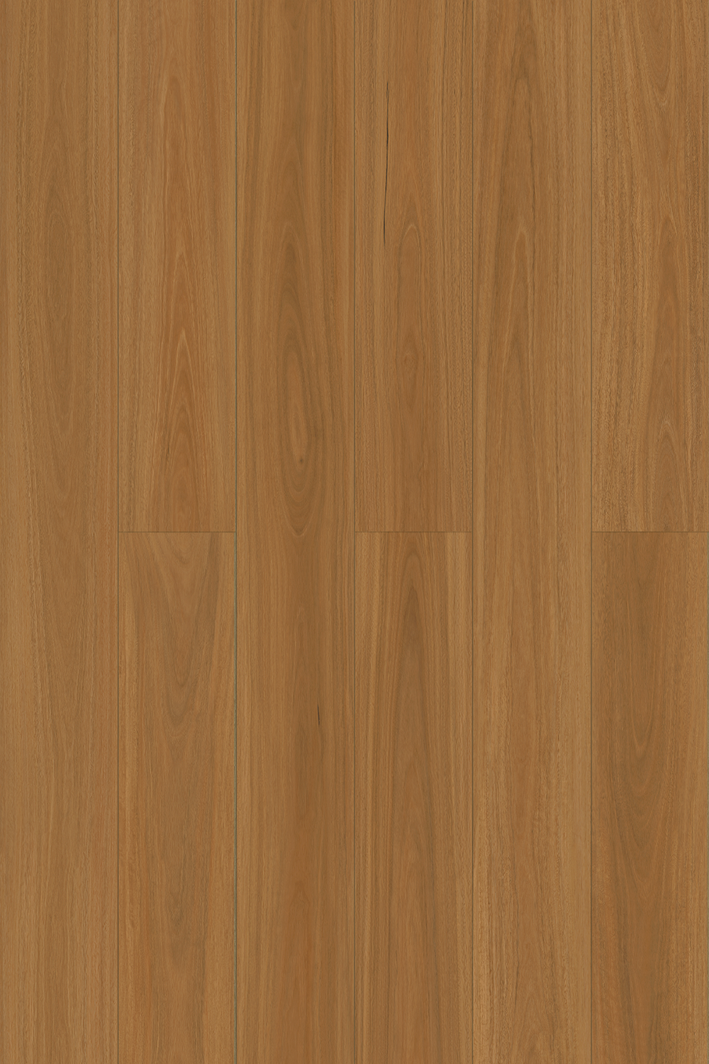 Spotted Gum install