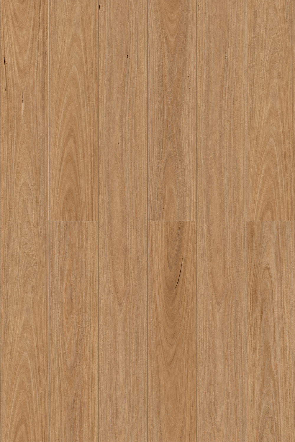 Raw Blackbutt install