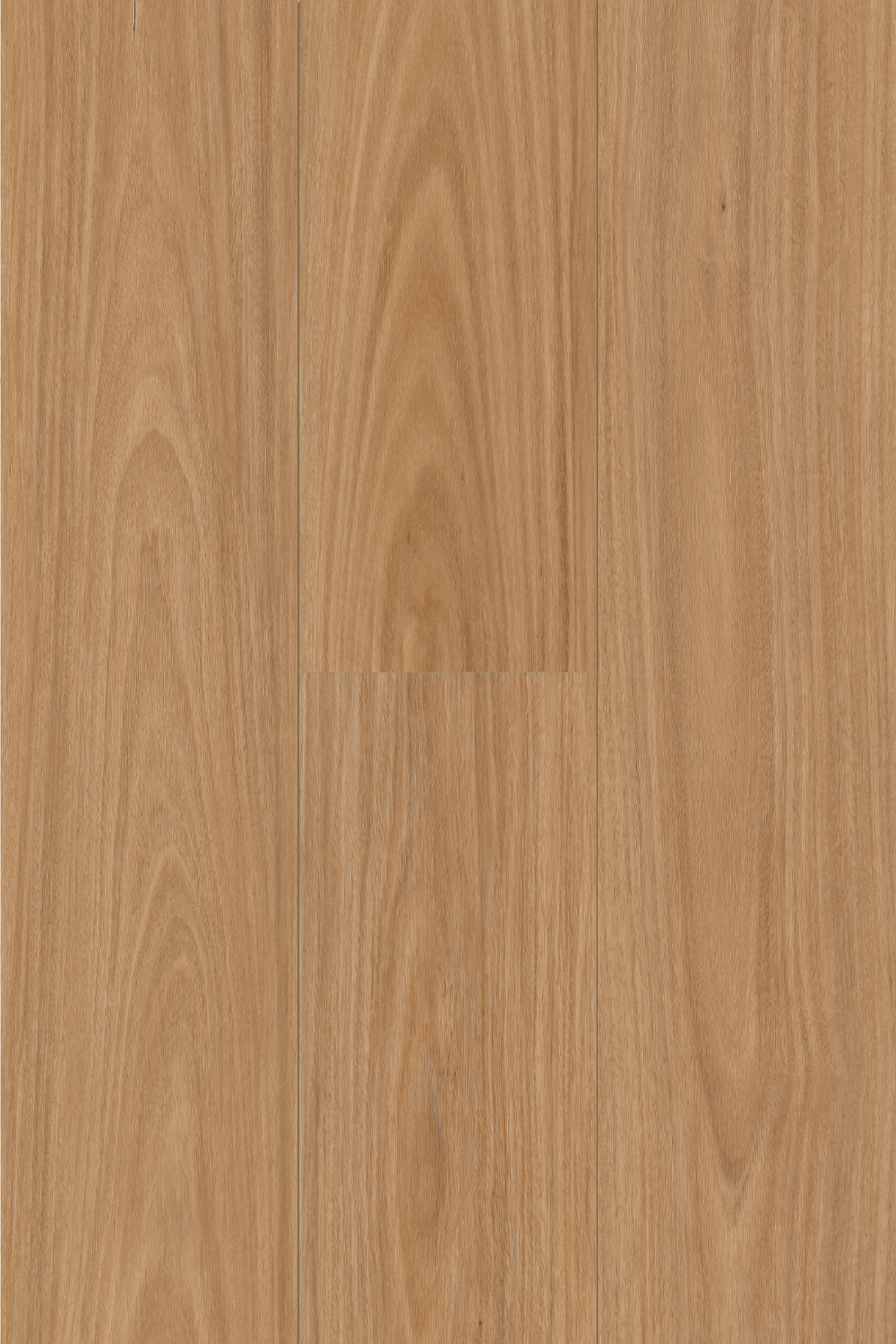 Raw Blackbutt