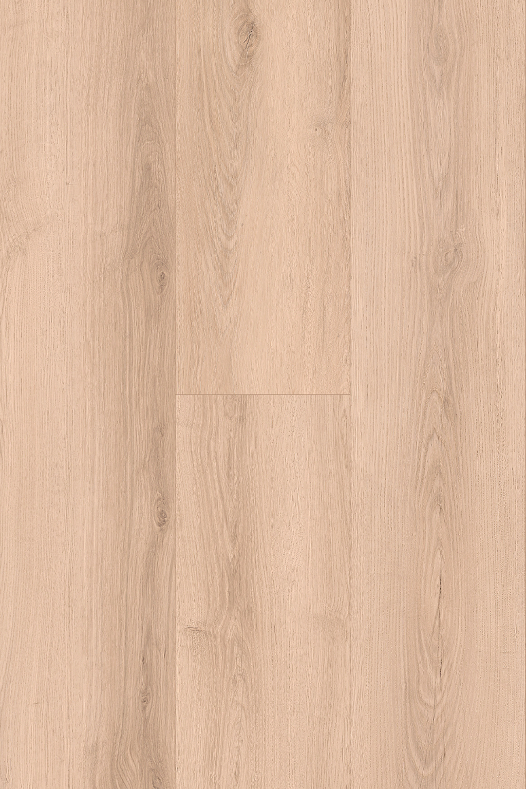 Harmony Oak
