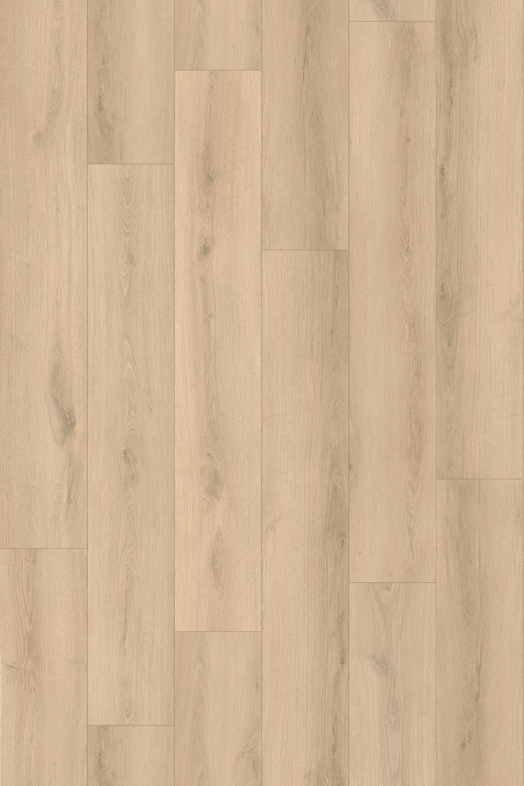 Ivory Sand Oak install