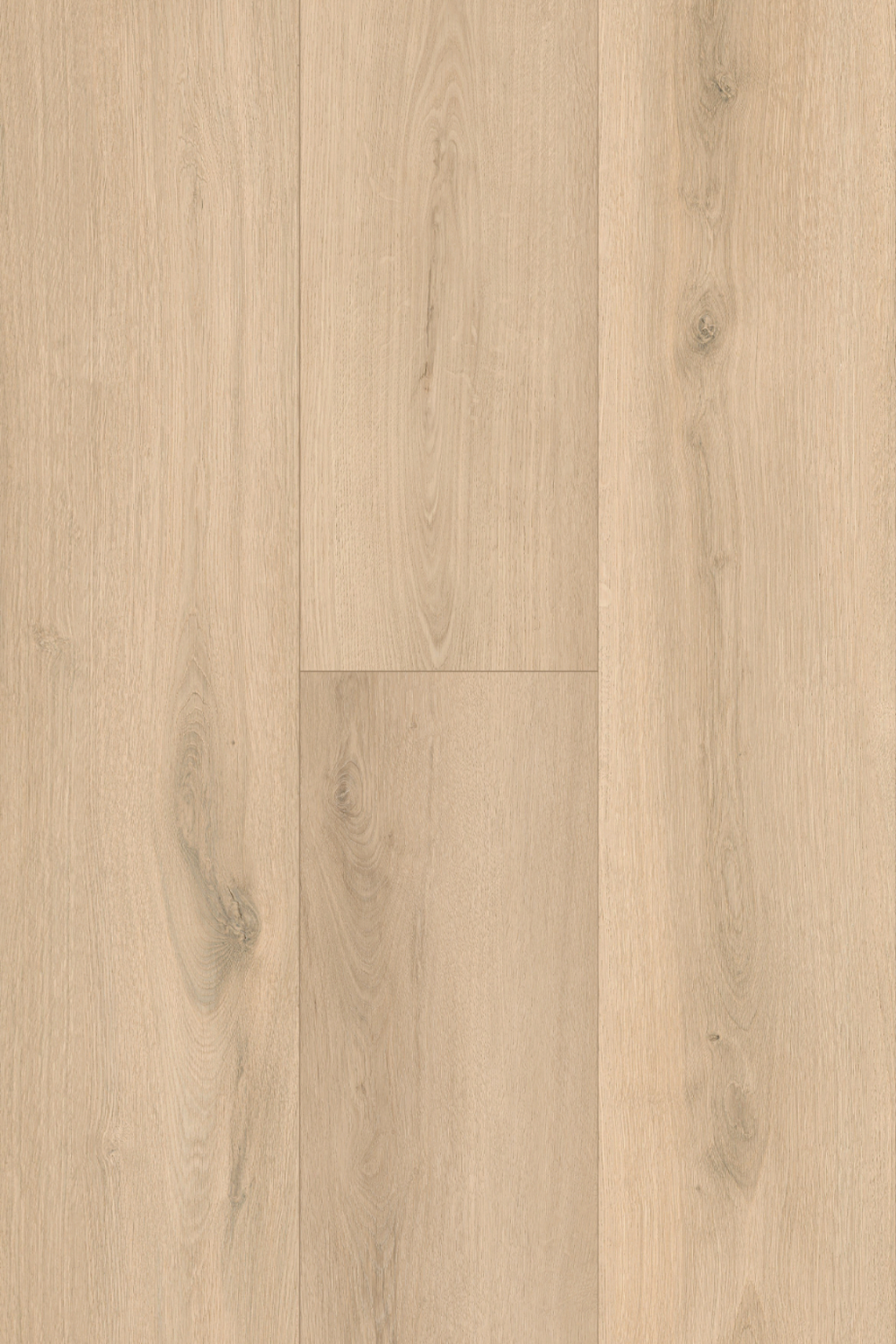 Ivory Sand Oak laminate from Pantora Amor by Topdeck Flooring