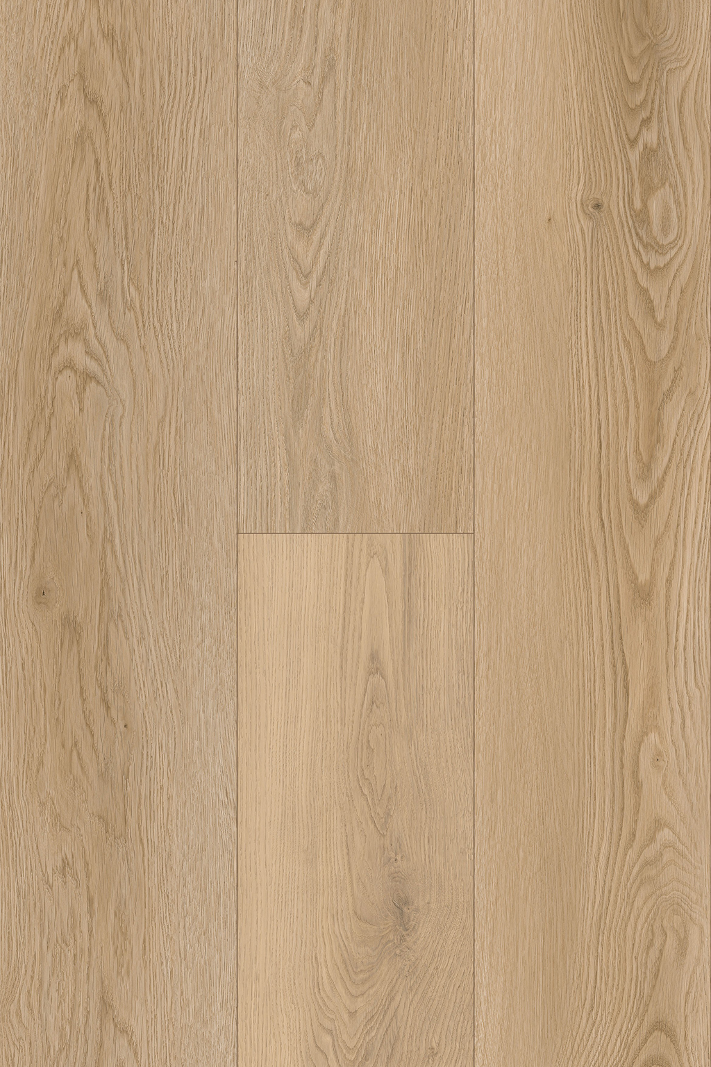 Amalfi Oak