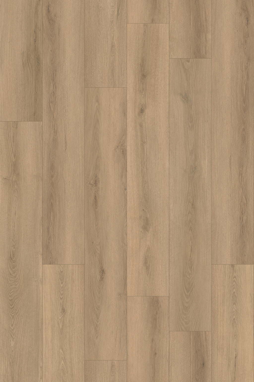 Moonstone Oak install