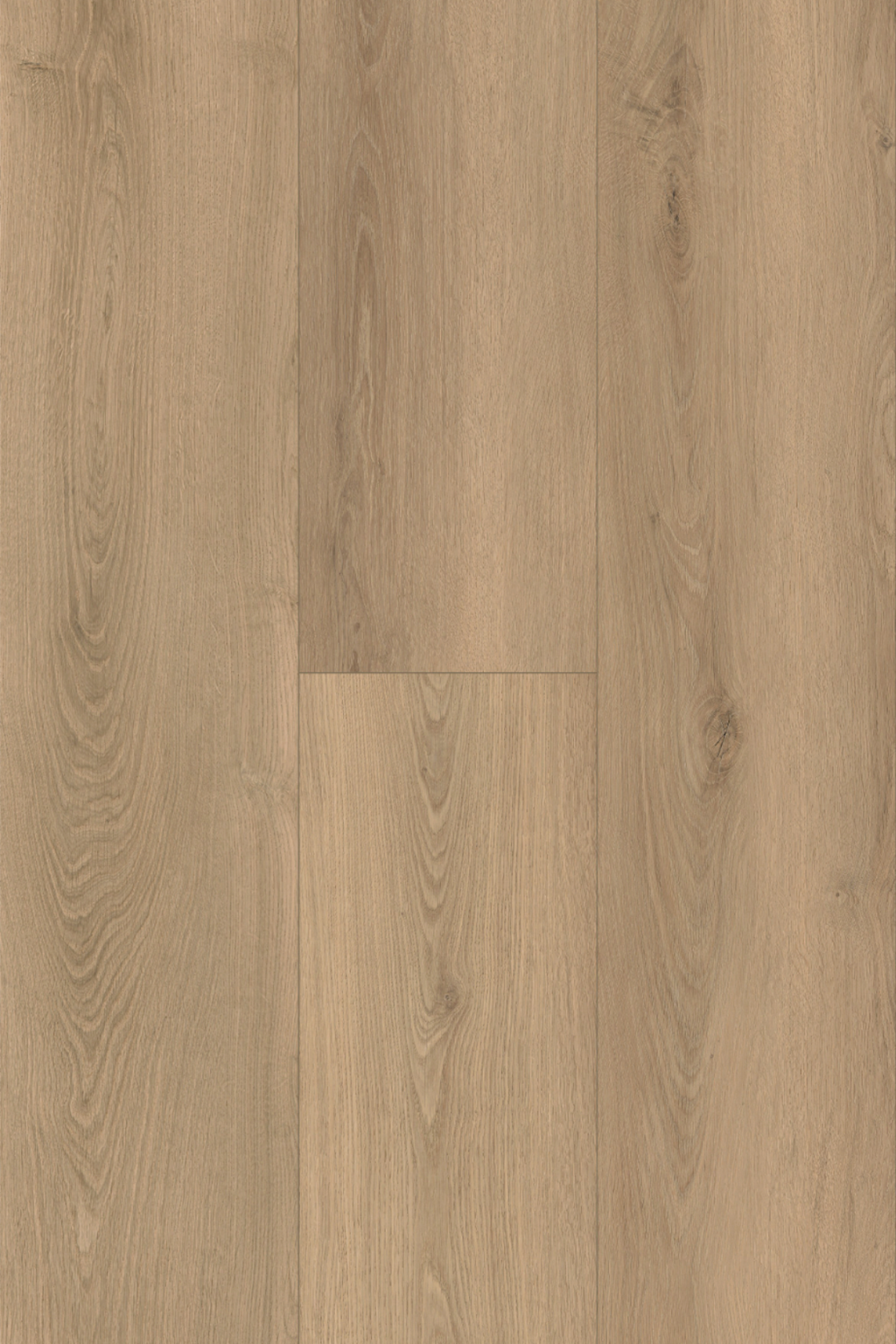 Moonstone Oak