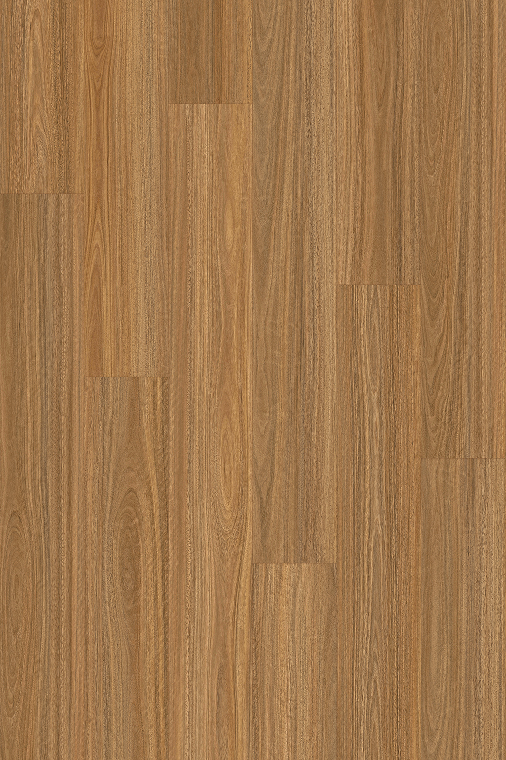 Spotted Gum install