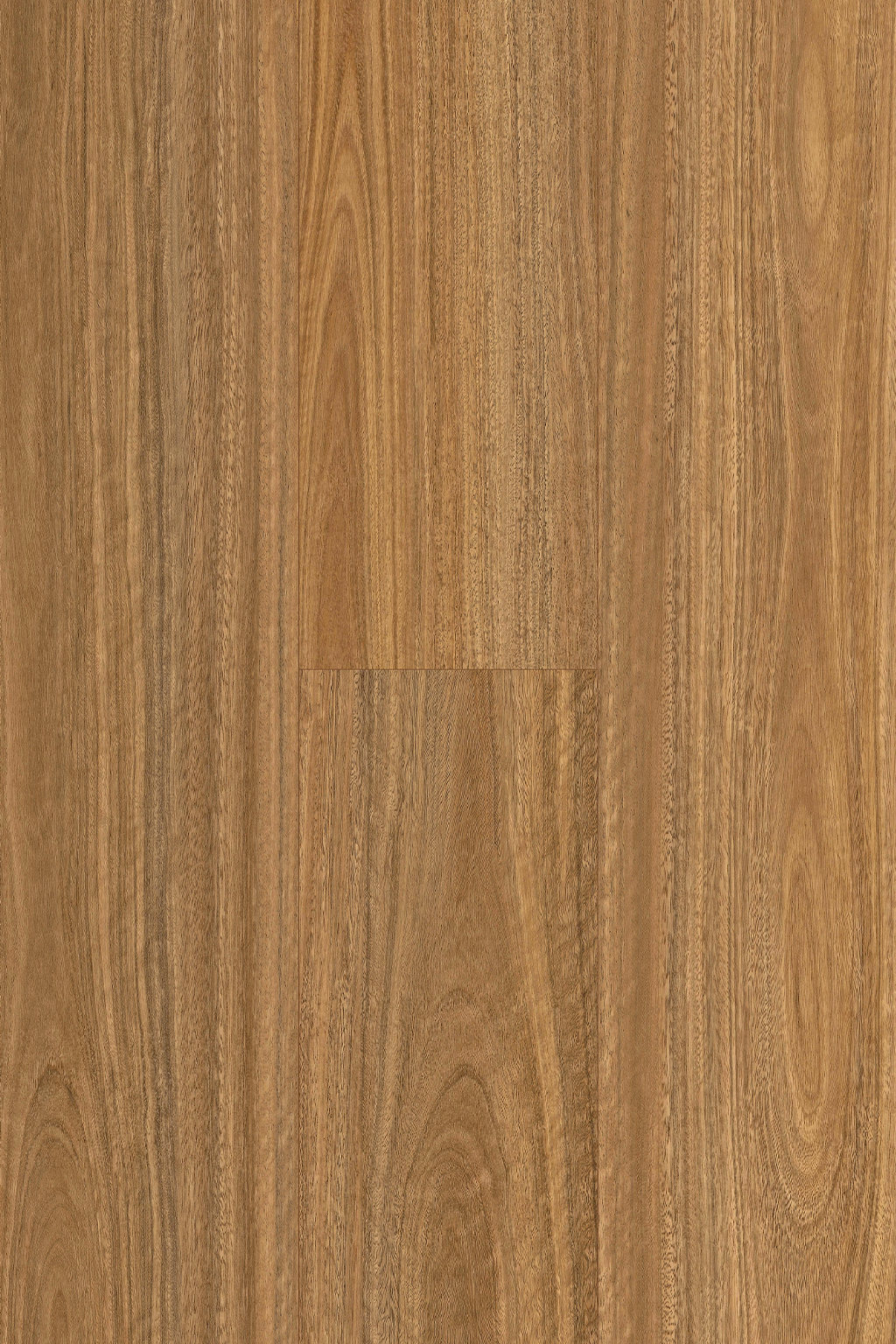 Spotted Gum laminate from Pantora Amor by Topdeck Flooring