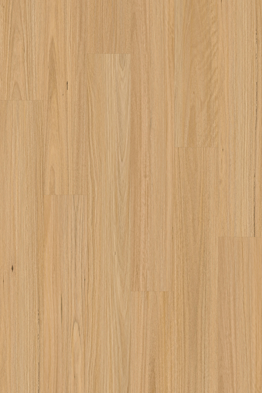 Blackbutt install