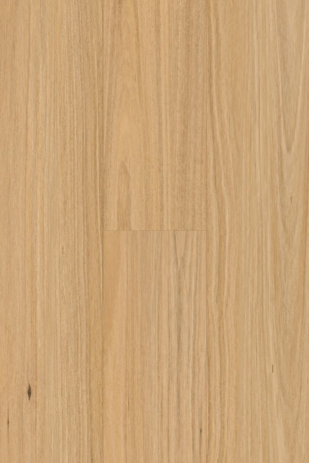 Blackbutt laminate from Pantora Amor by Topdeck Flooring