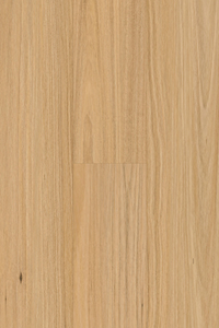 Blackbutt laminate from Pantora Amor by Topdeck Flooring