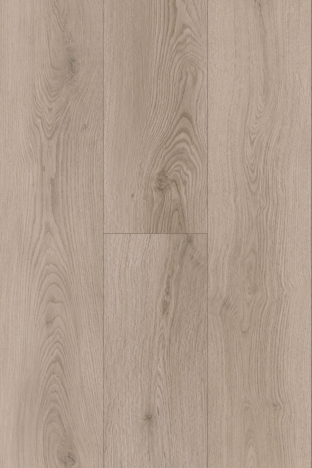 Silverstone Oak