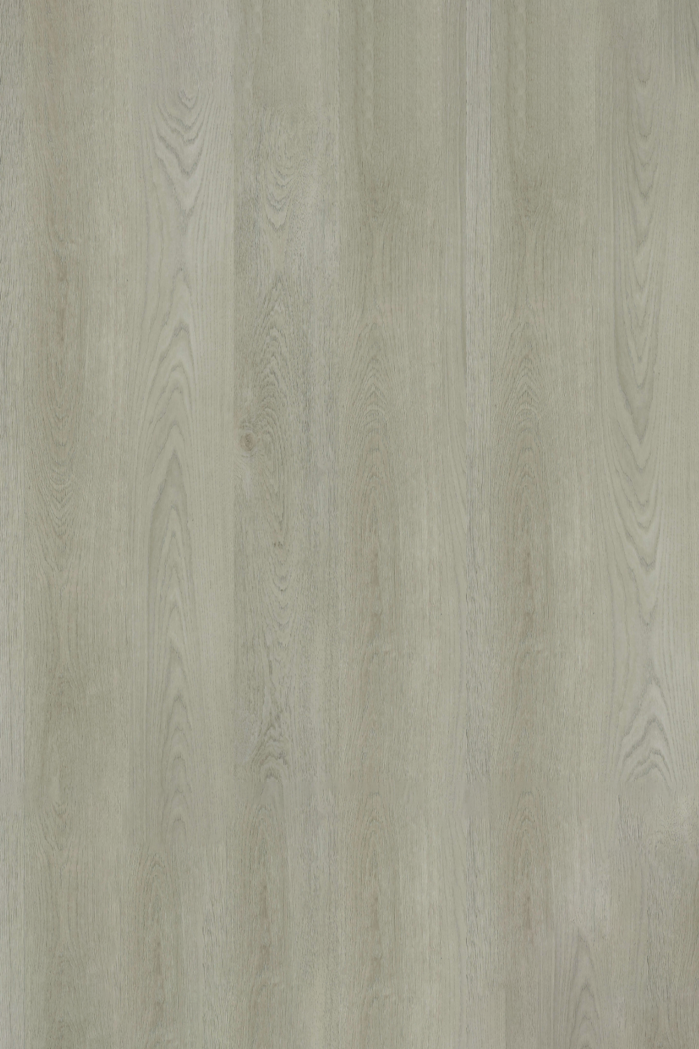 Pebble Grey — Avala Standard 5G installed surface detail