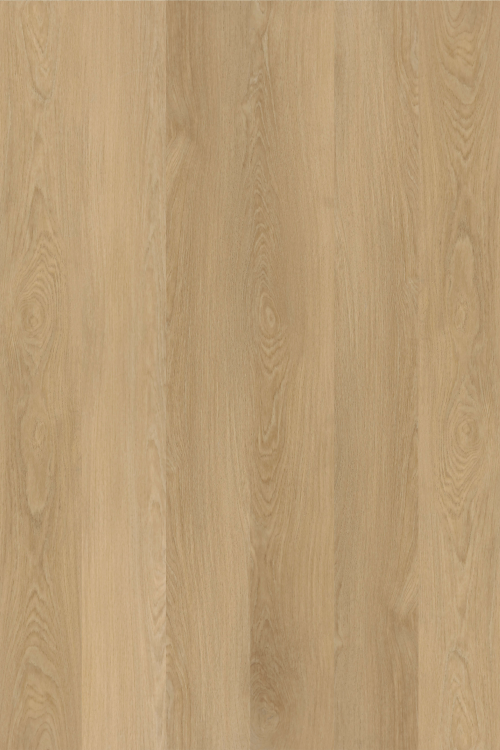 Coastal Beige — Avala Standard 5G installed surface detail