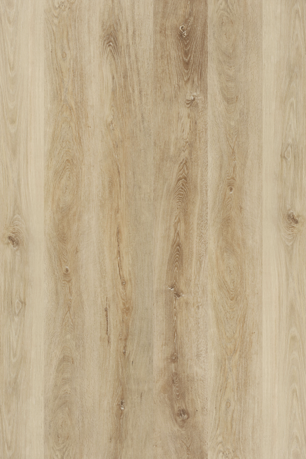 Prague Oak — Avala Standard installed surface detail