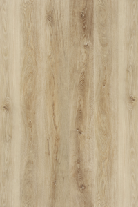 Prague Oak — Avala Standard installed surface detail