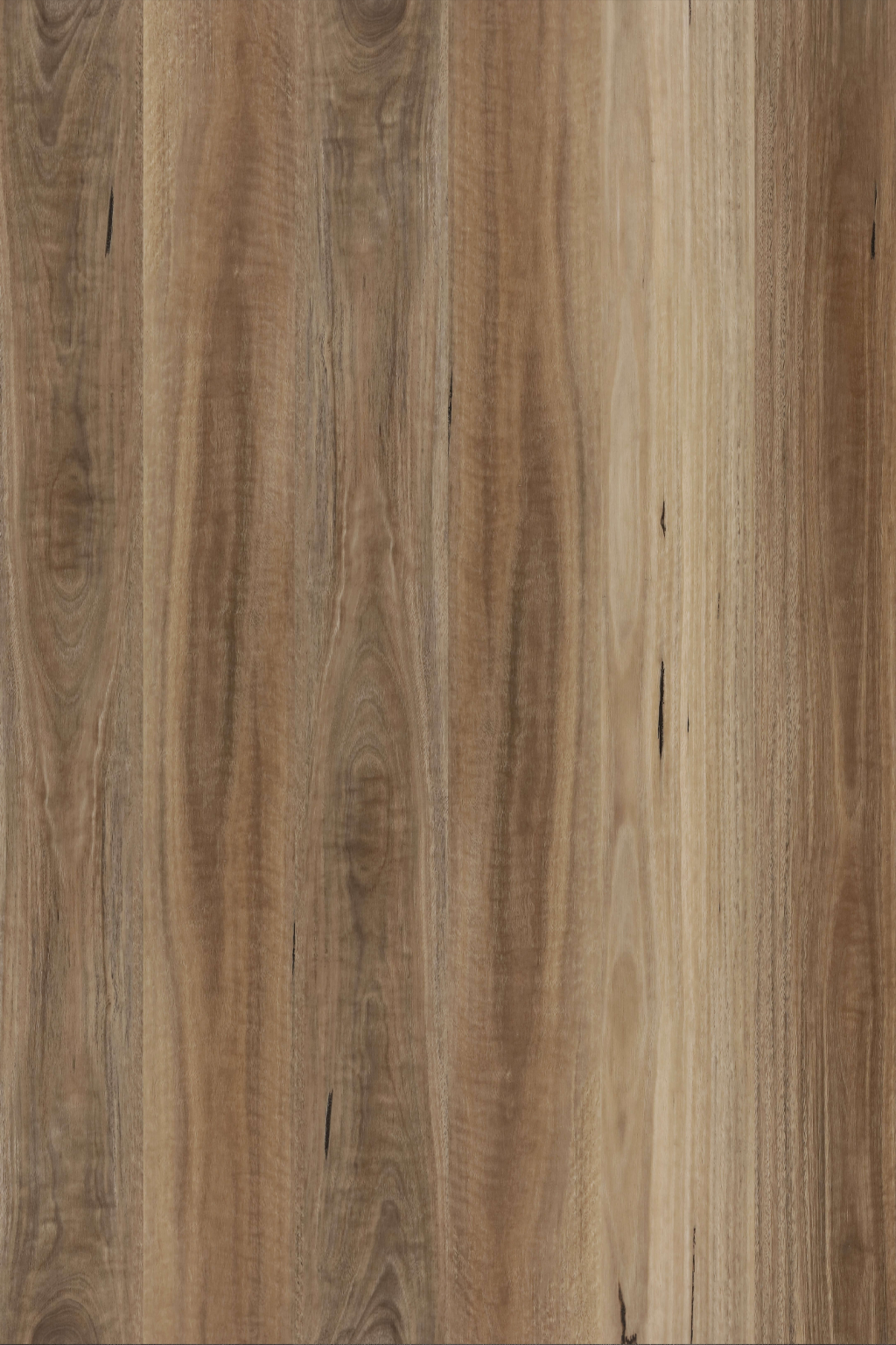 Spotted Gum — Avala Wide 5G installed surface detail