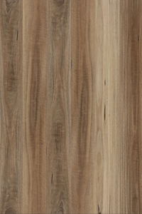 Spotted Gum — Avala Wide 5G installed surface detail