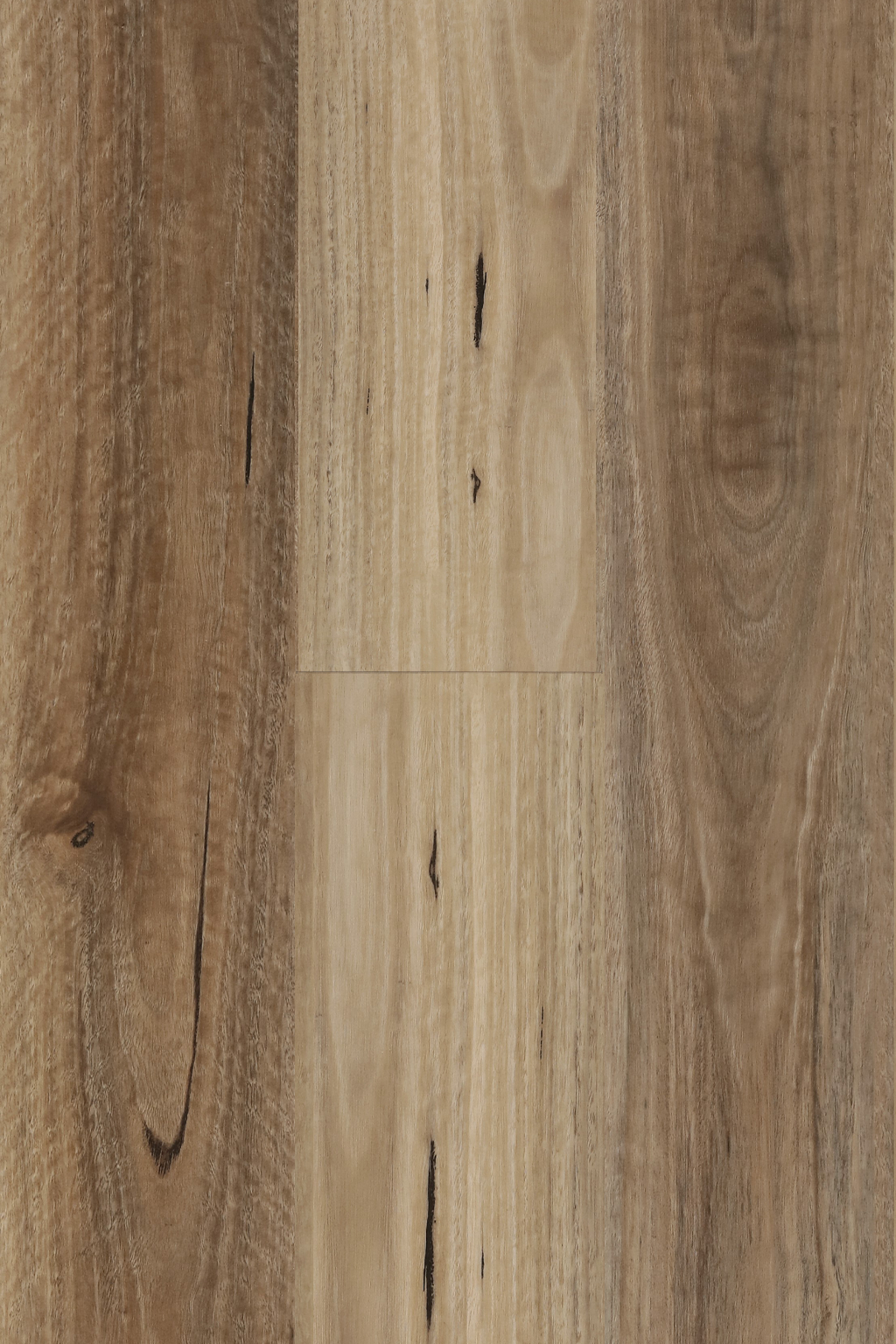 Spotted Gum — Avala Standard hybrid plank from Topdeck Core