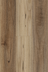 Spotted Gum — Avala Standard hybrid plank from Topdeck Core