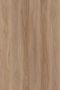 Blackbutt — Avala Wide 5G installed surface detail