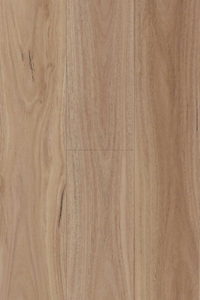 Blackbutt — Avala Standard 5G hybrid plank from Topdeck Core