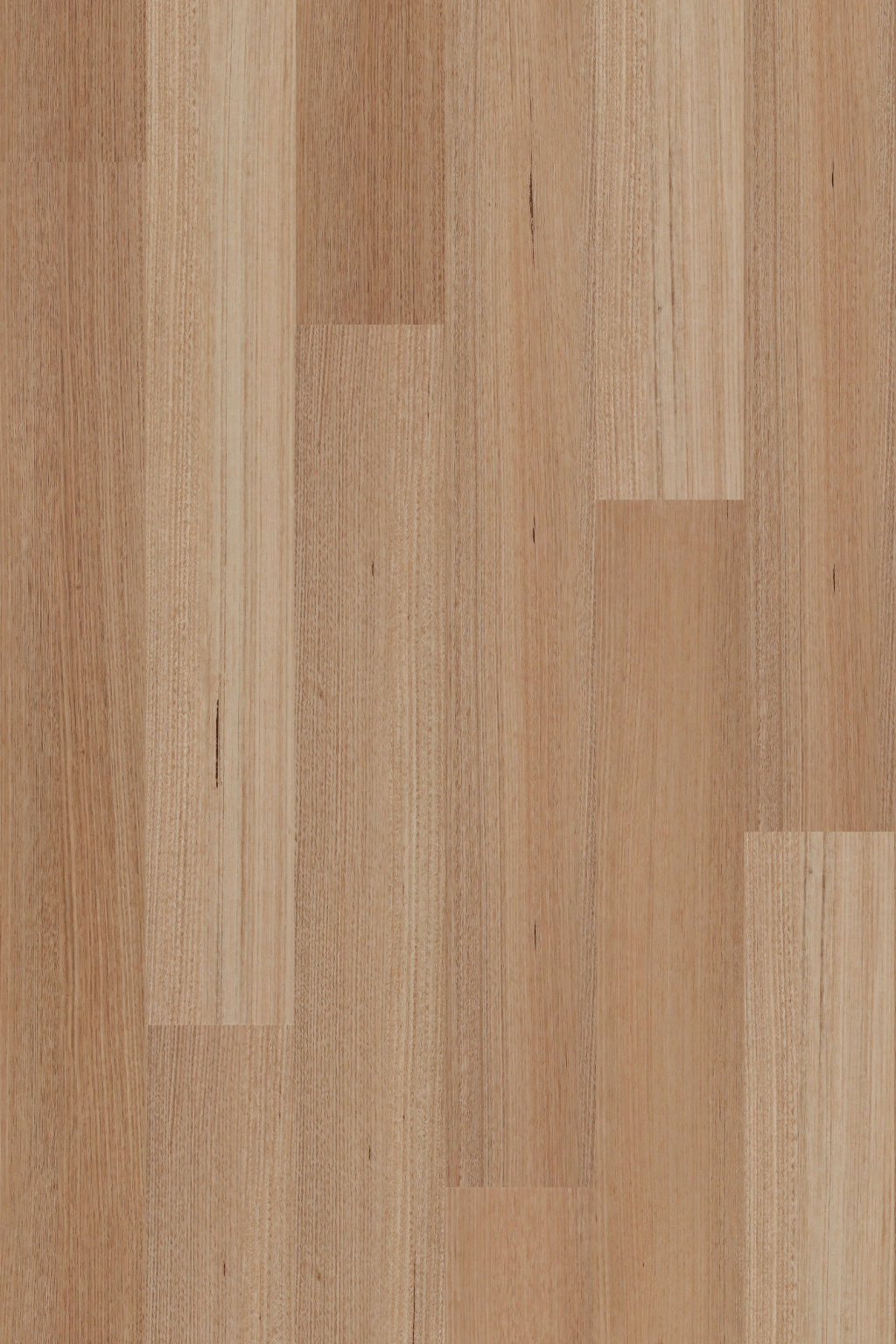 Tasmanian Oak — Avala Standard hybrid plank from Topdeck Core