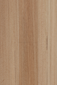 Tasmanian Oak — Avala Standard 5G installed surface detail
