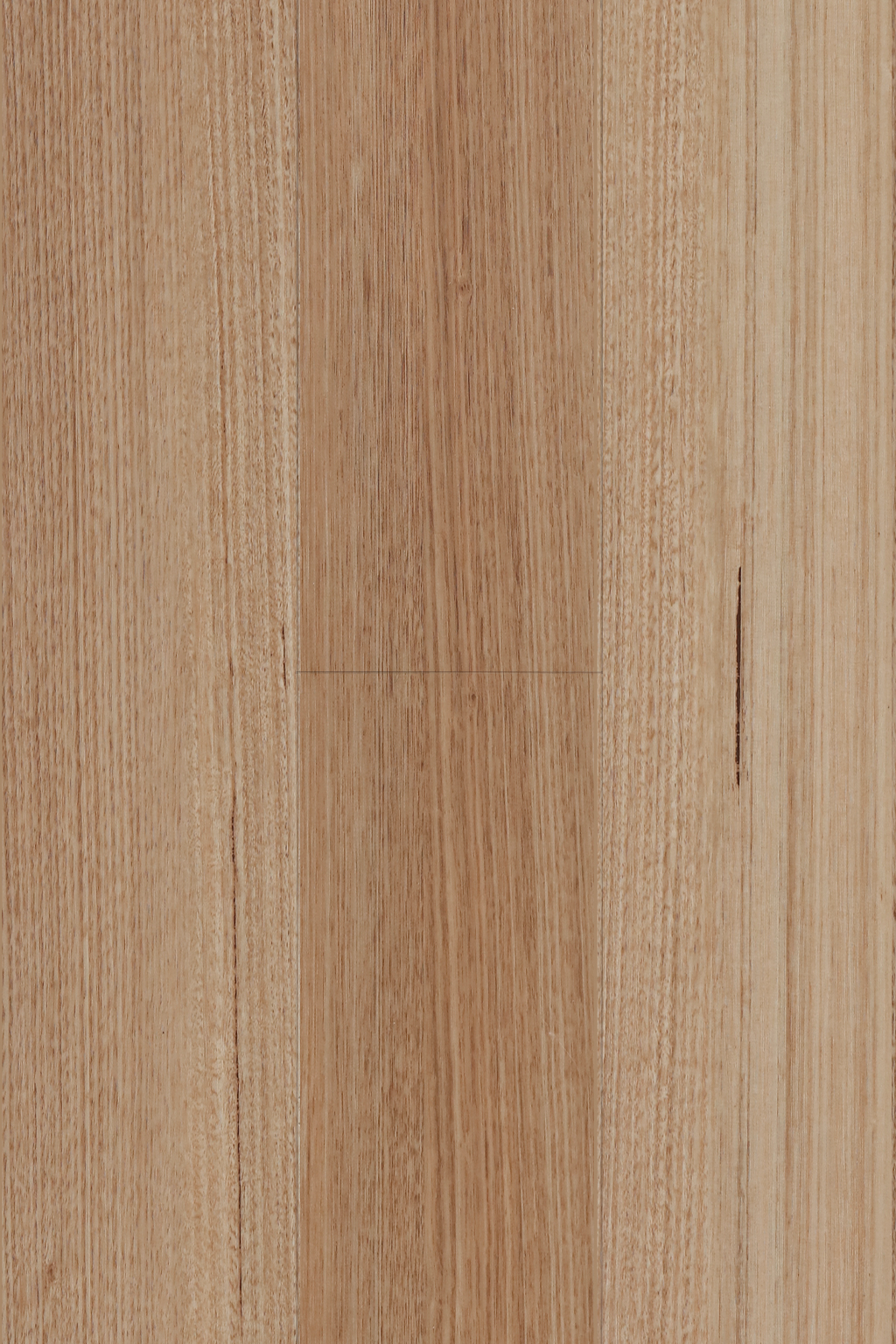Tasmanian Oak — Avala Standard installed surface detail