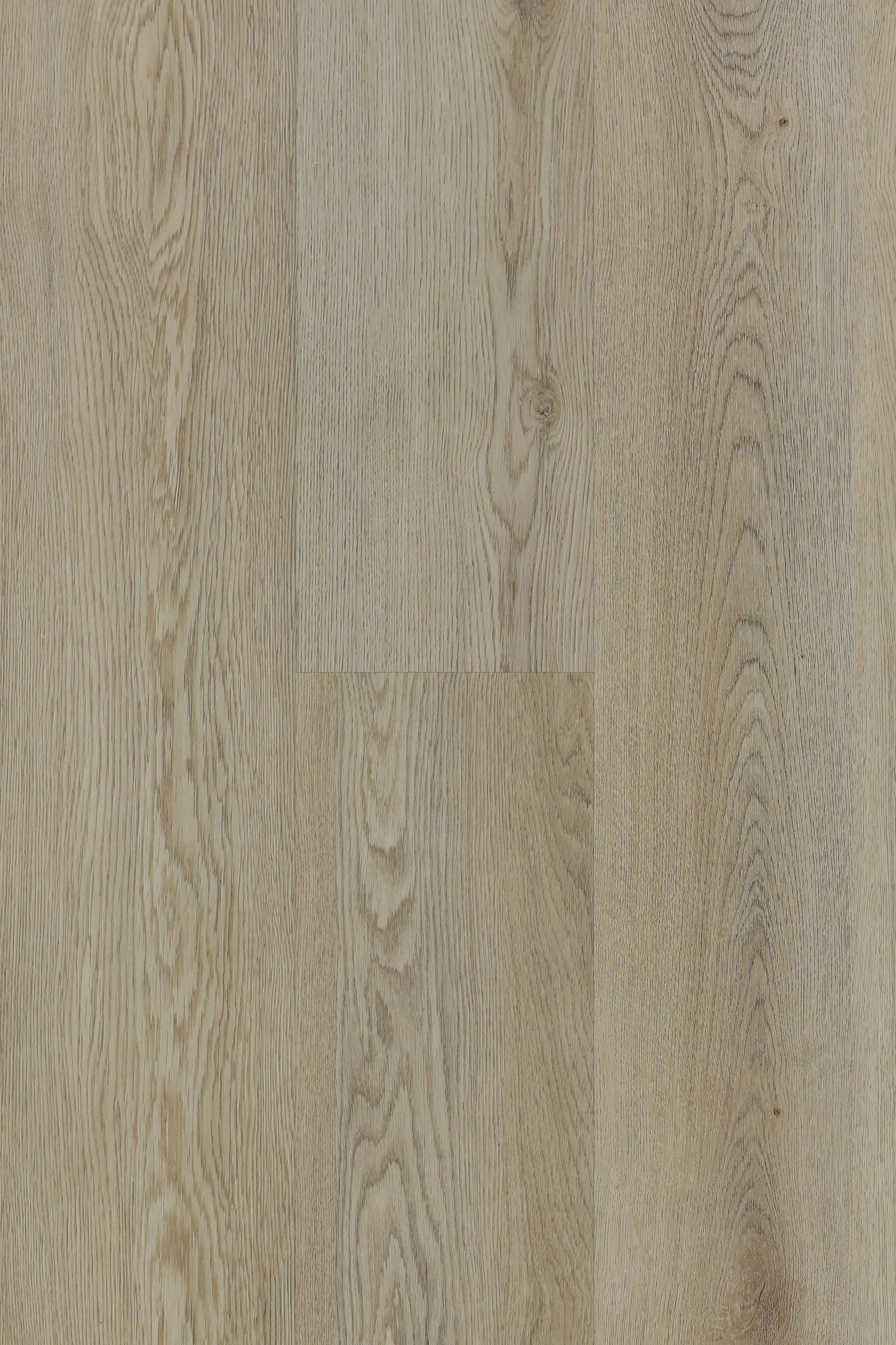 Bellevue Avenue — Lumière Plank installed surface detail
