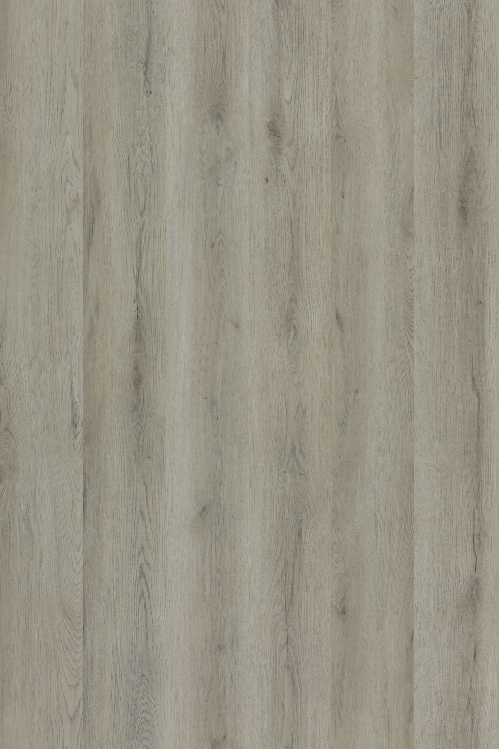 Winchester Oak — Lumière Plank installed surface detail