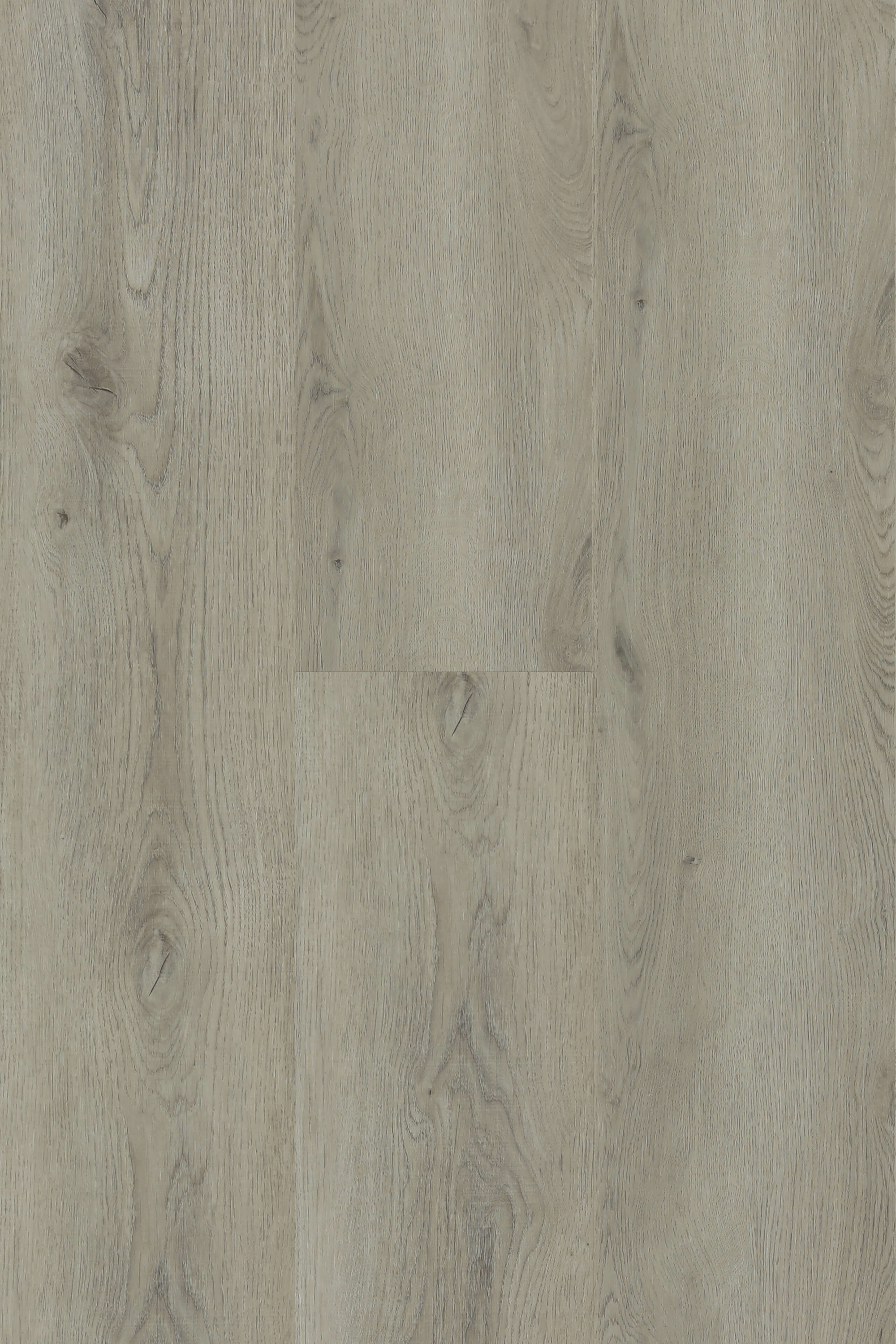 Winchester Oak — Lumière Plank 5G hybrid plank from Topdeck Core