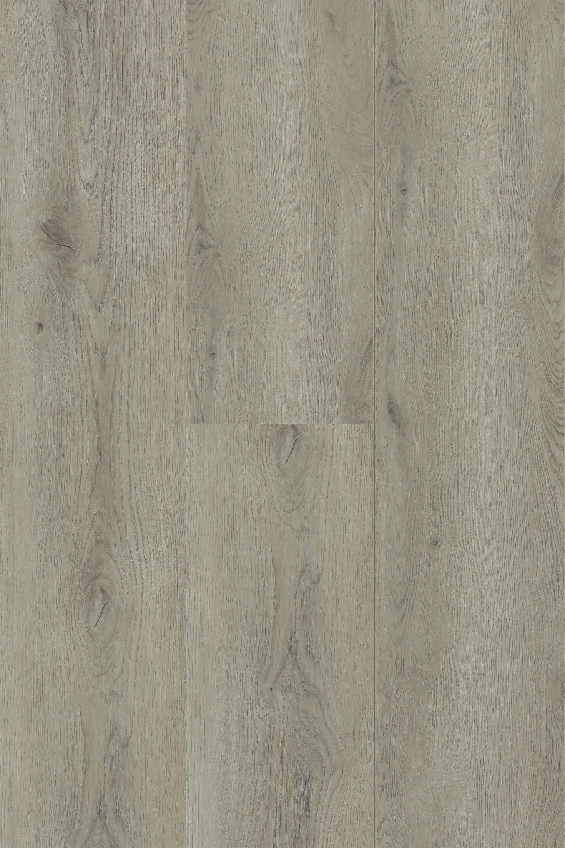 Winchester Oak