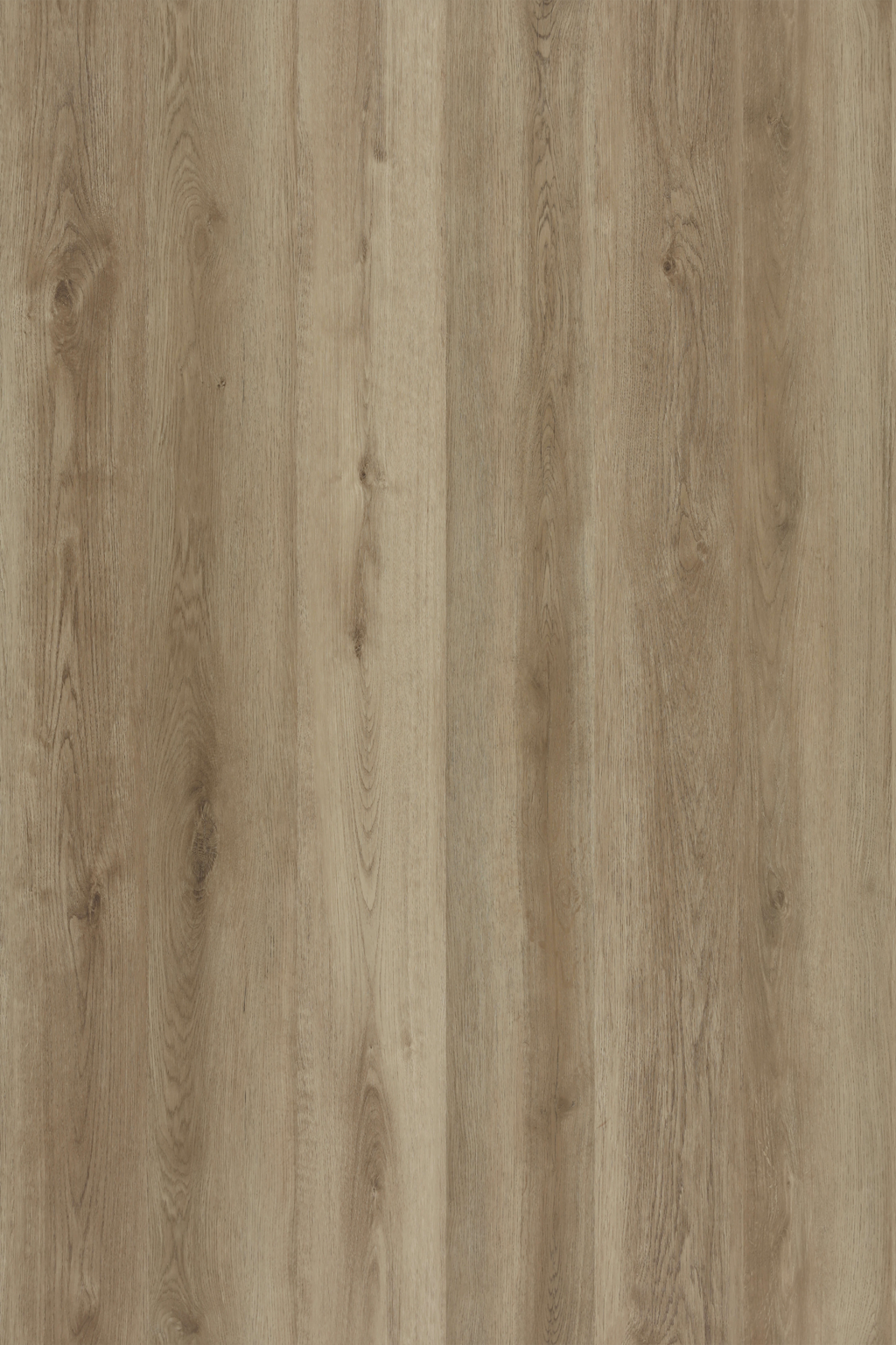 Sherwood Oak — Lumière Plank installed surface detail