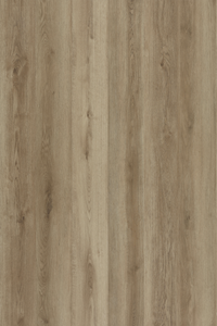 Sherwood Oak — Lumière Plank installed surface detail