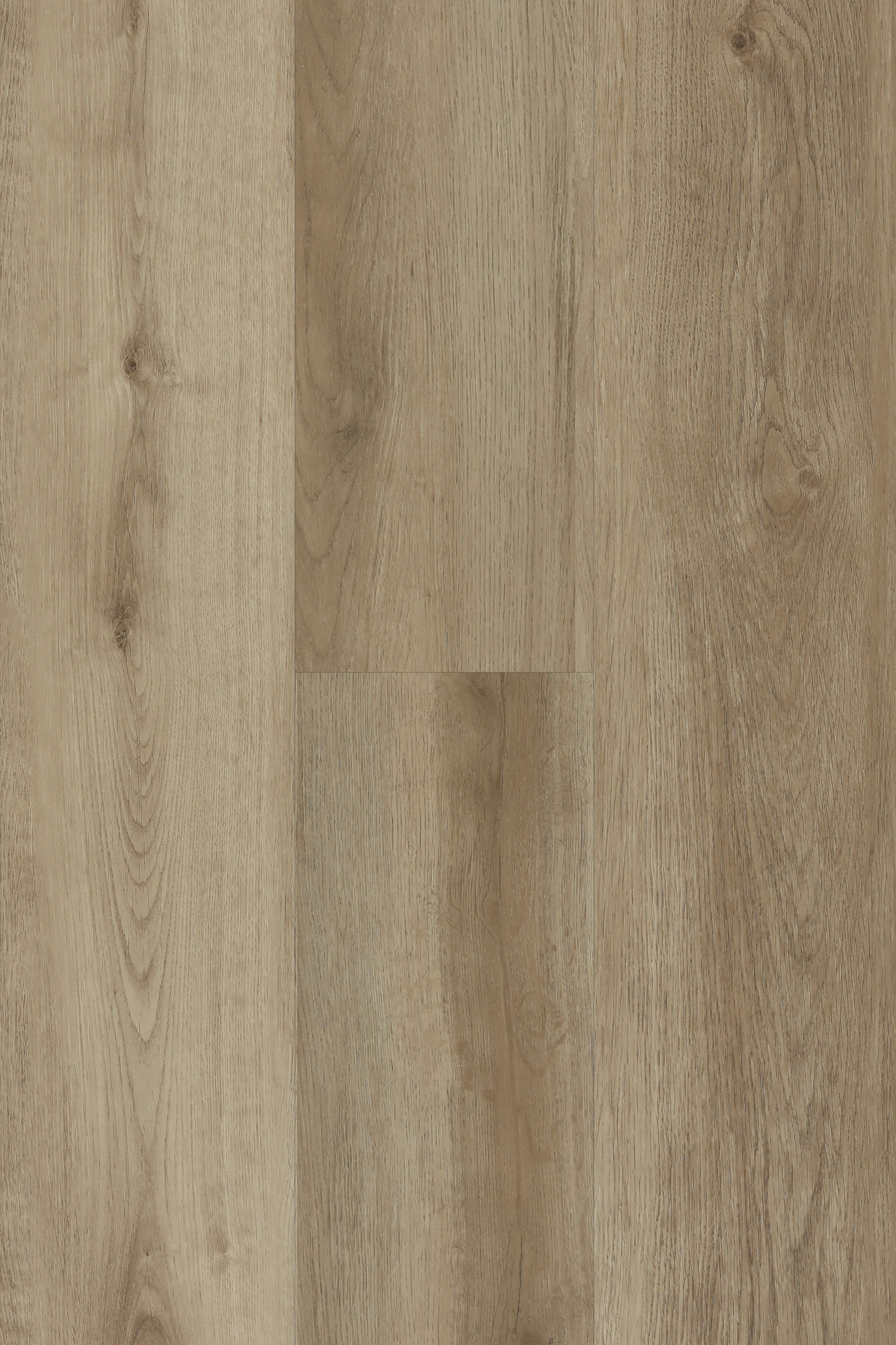 Sherwood Oak — Lumière Plank 5G hybrid plank from Topdeck Core