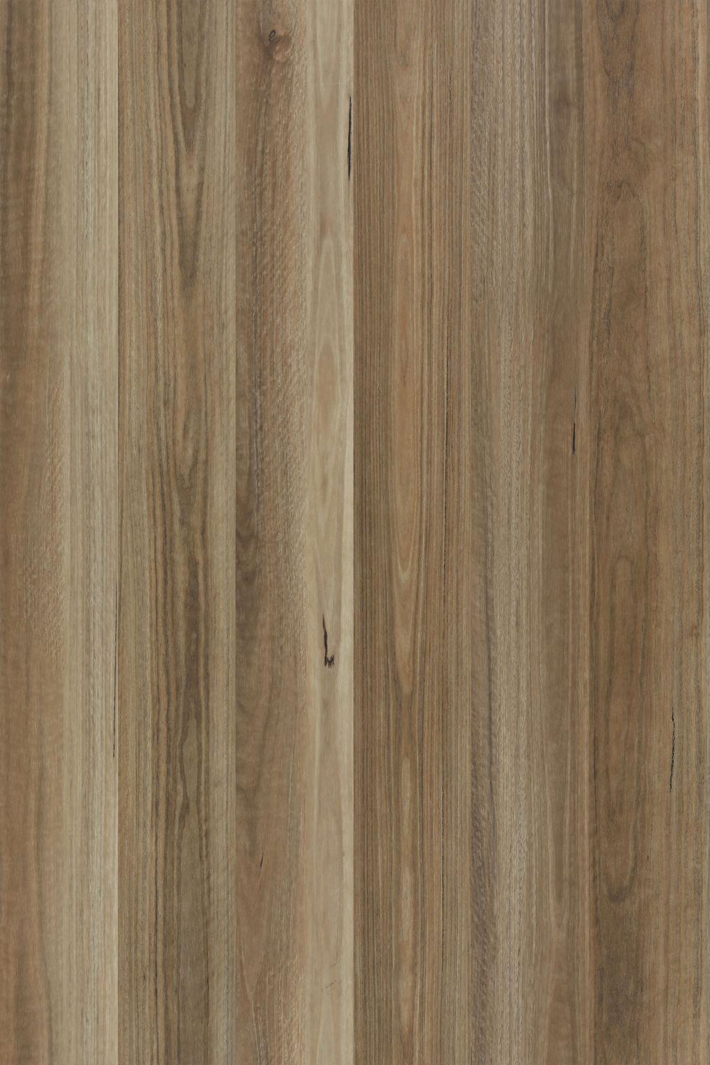 Spotted Gum — Lumière Plank installed surface detail
