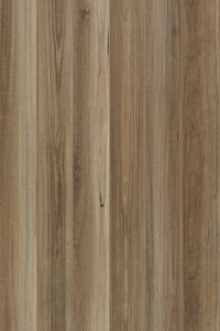 Spotted Gum — Lumière Plank installed surface detail