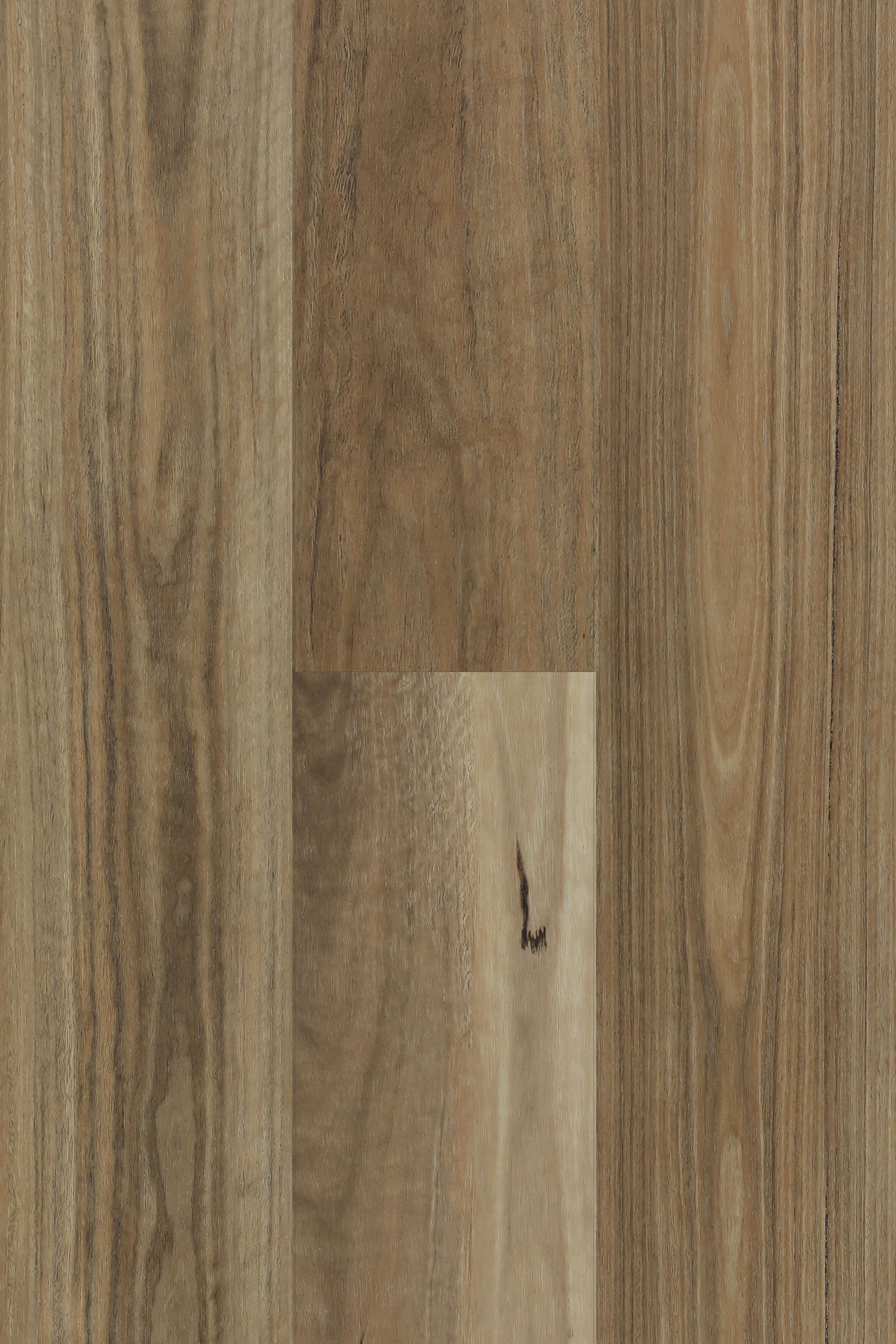 Spotted Gum — Lumière Plank 5G hybrid plank from Topdeck Core