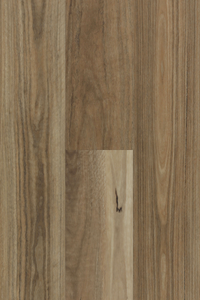 Spotted Gum — Lumière Plank hybrid plank from Topdeck Core