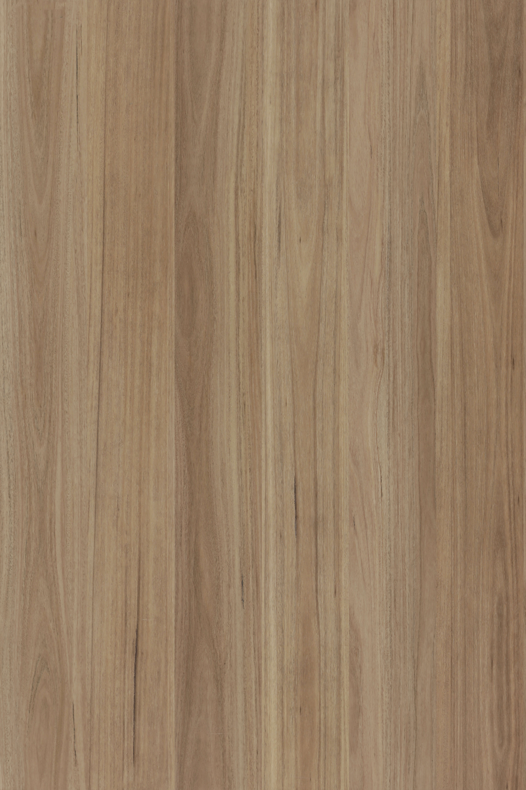 Blackbutt — Lumière Plank 5G installed surface detail