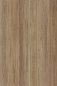 Blackbutt — Lumière Plank installed surface detail