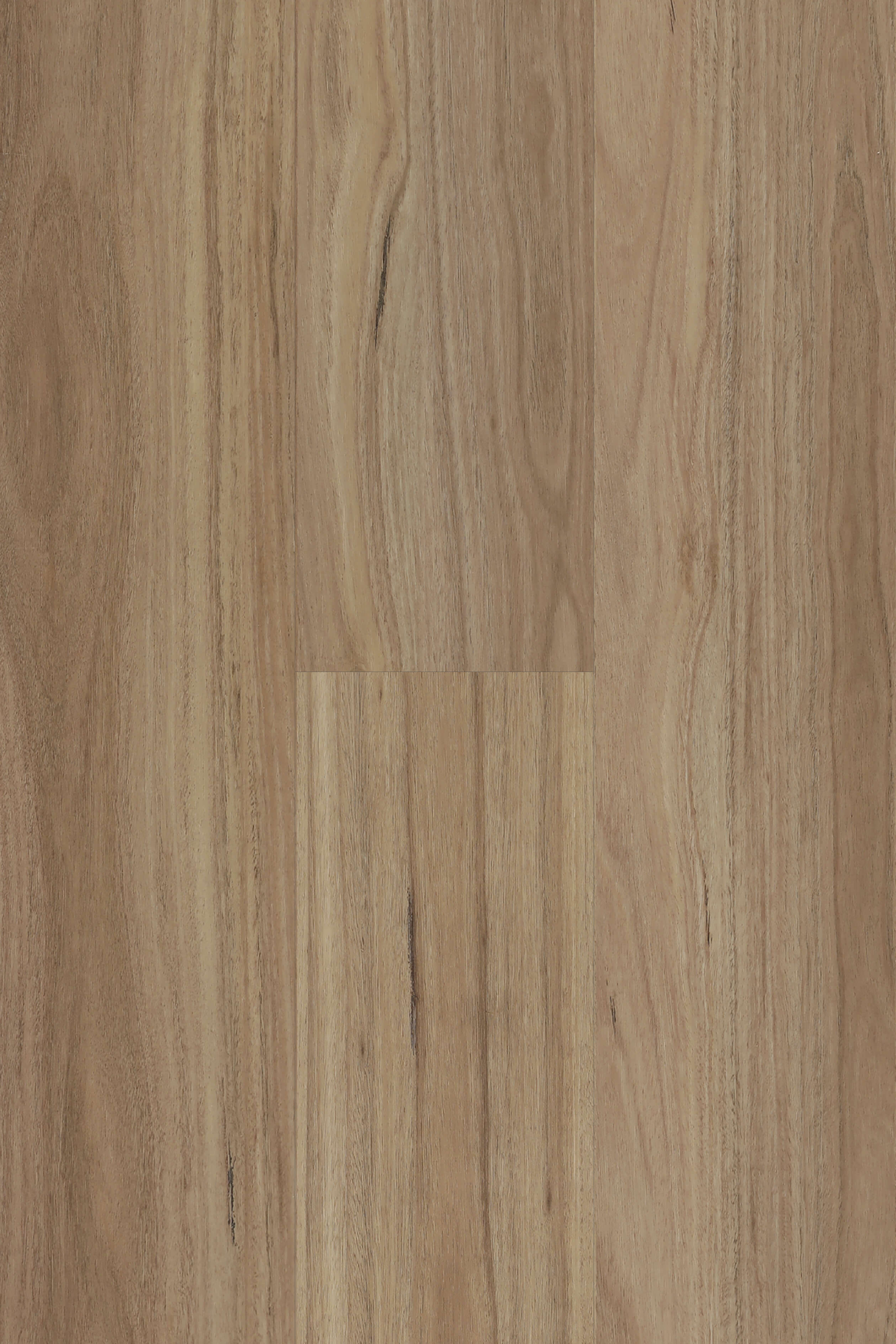 Blackbutt — Lumière Plank hybrid plank from Topdeck Core