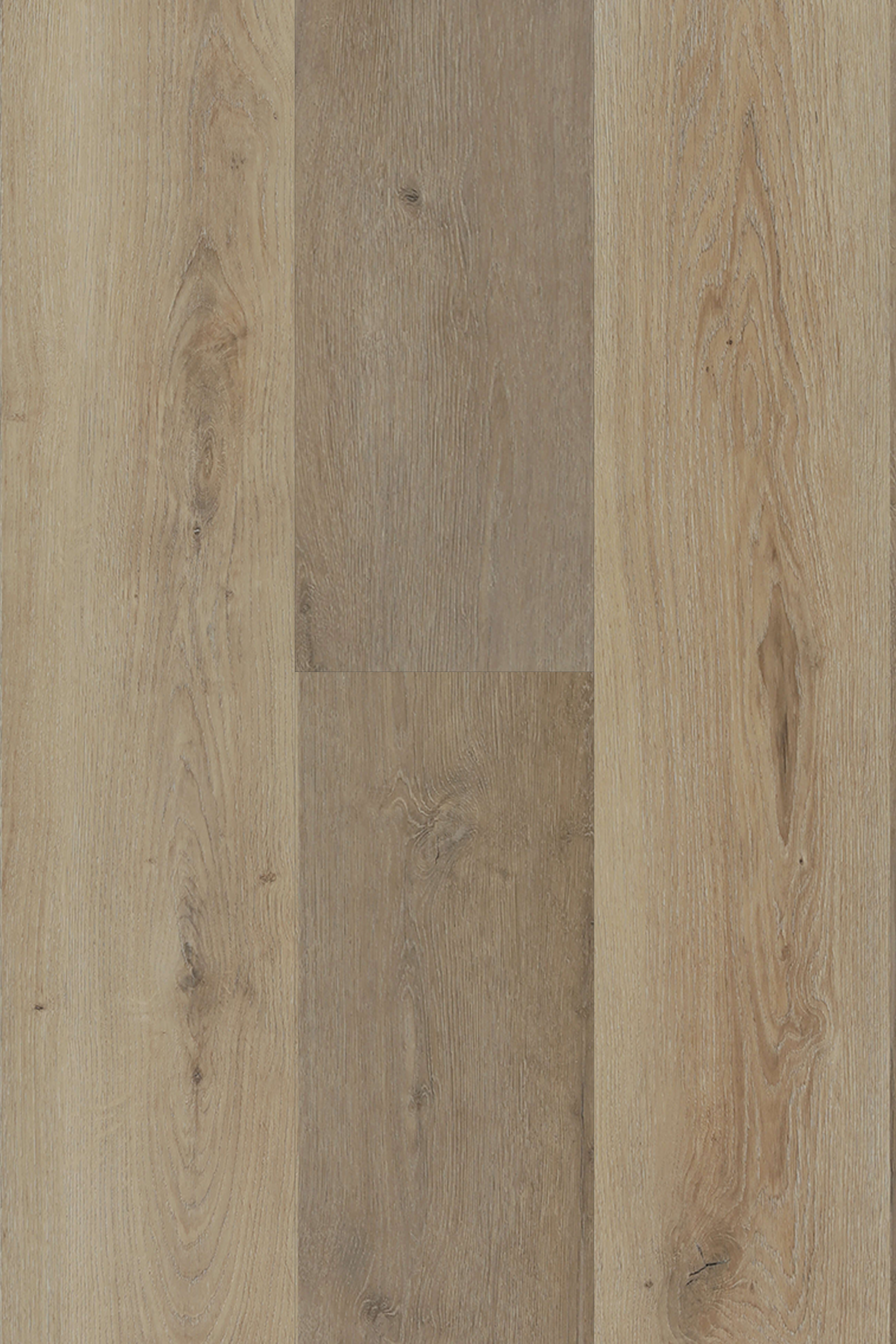 Lake View Oak