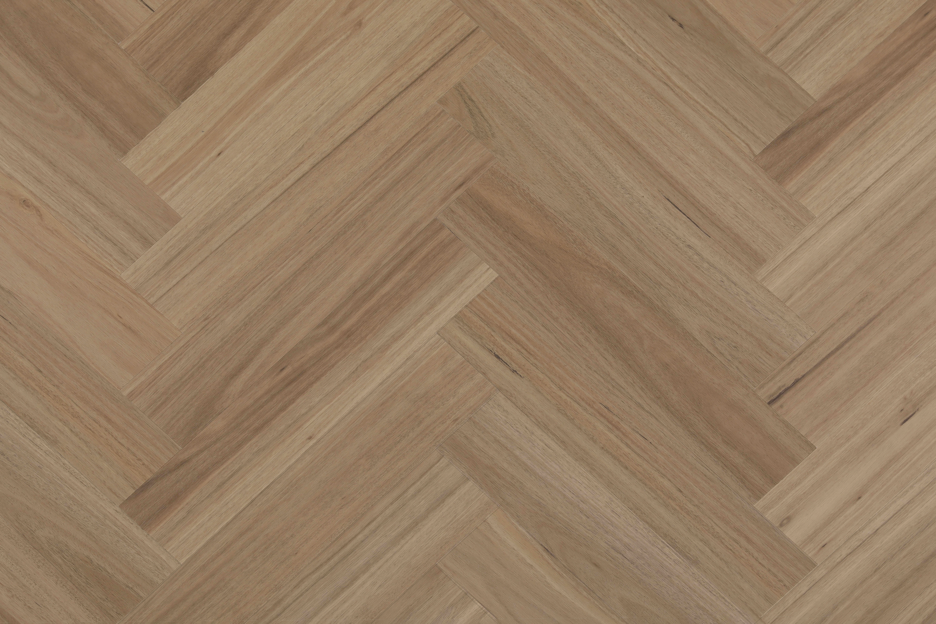 Blackbutt — Lumière Herringbone hybrid herringbone from Topdeck Core