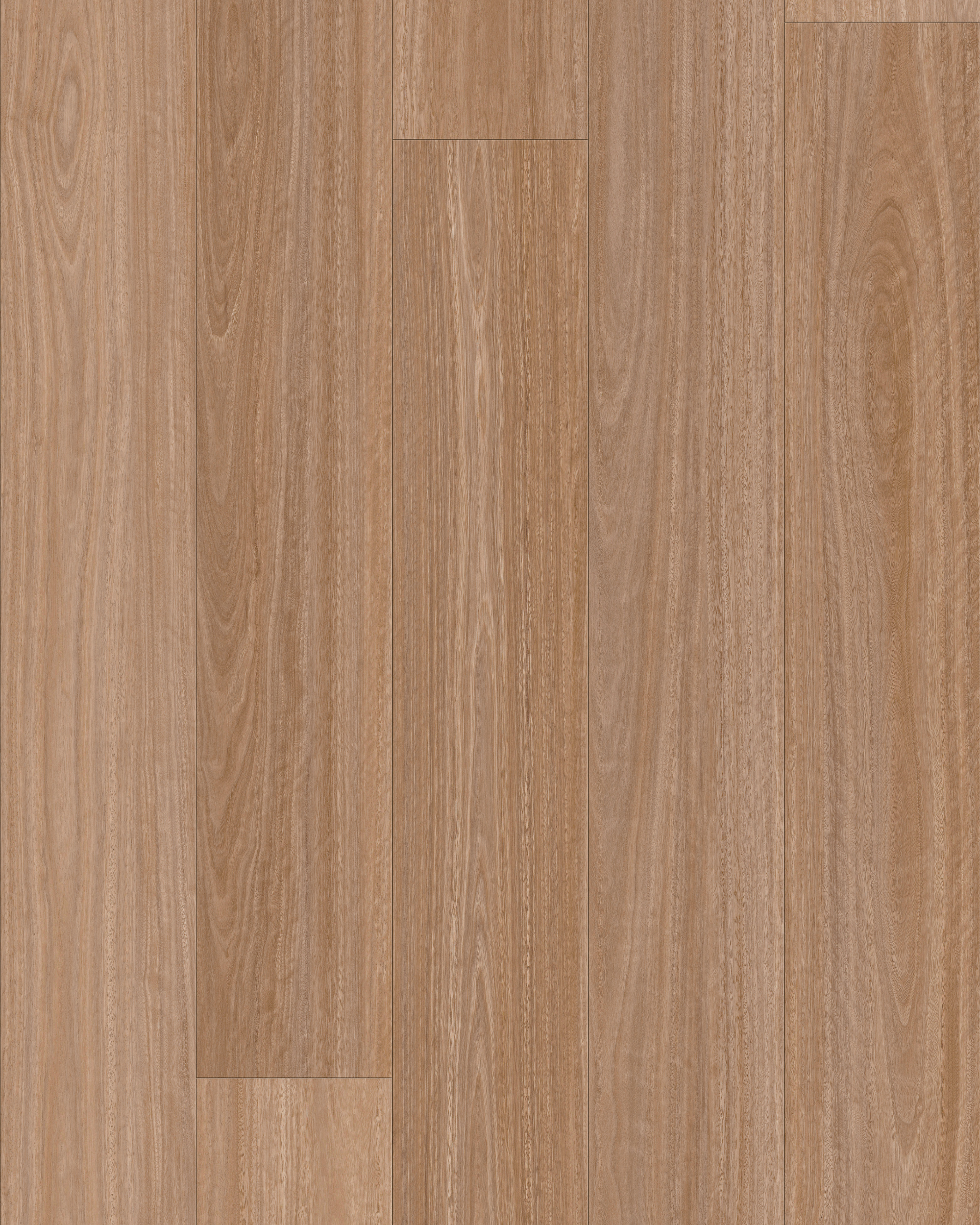 Native Spotted Gum install