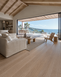 Native Spotted Gum render
