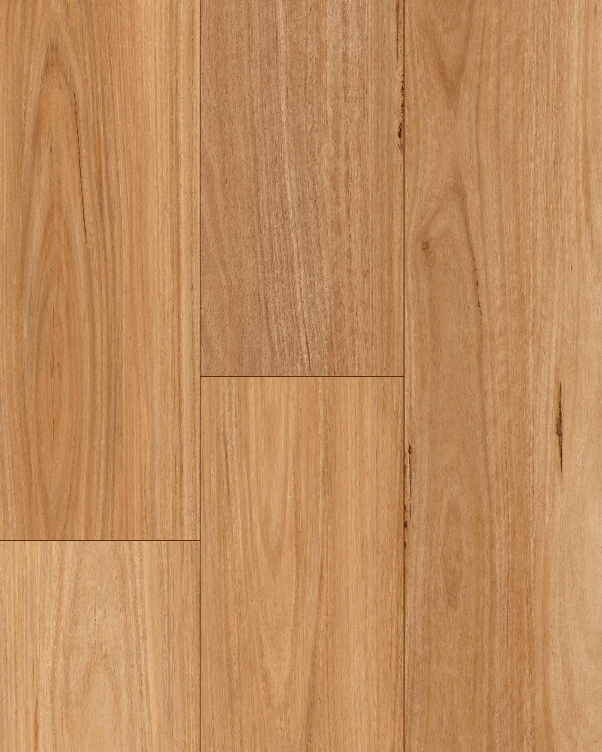 Native Blackbutt laminate from Pantora Royal Miles by Topdeck Flooring