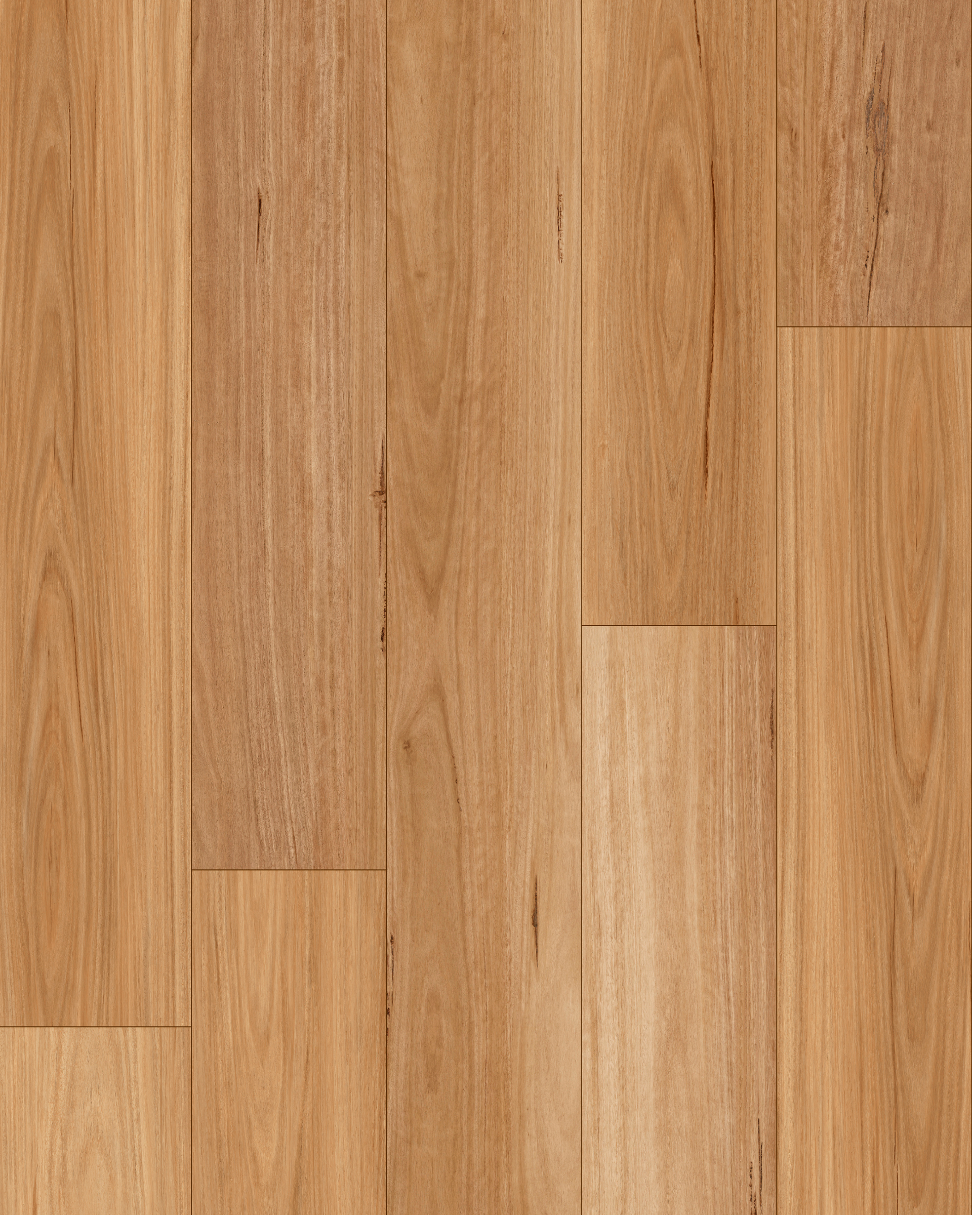 Native Blackbutt install